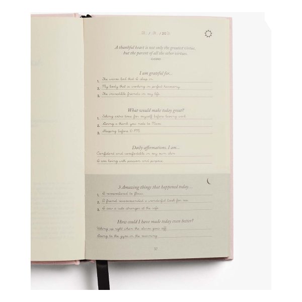 Grateful Workflow Daily Bundle - Blush Pink Online - Image 4